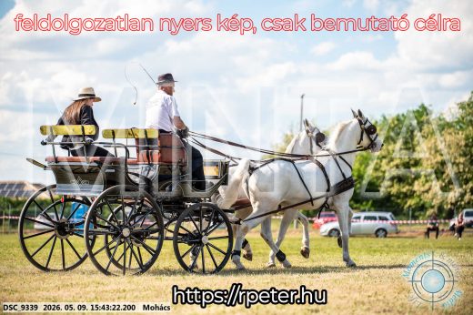 Mintakép 20260509-1031