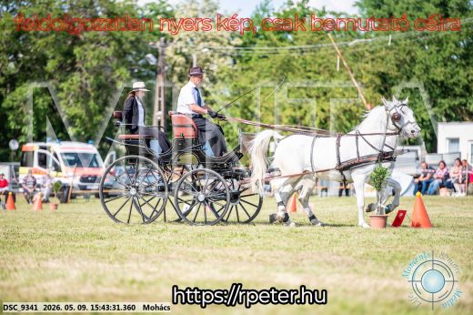 Mintakép 20260509-1032
