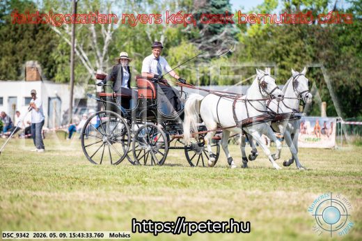 Mintakép 20260509-1033