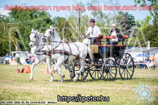 Mintakép 20260509-1034