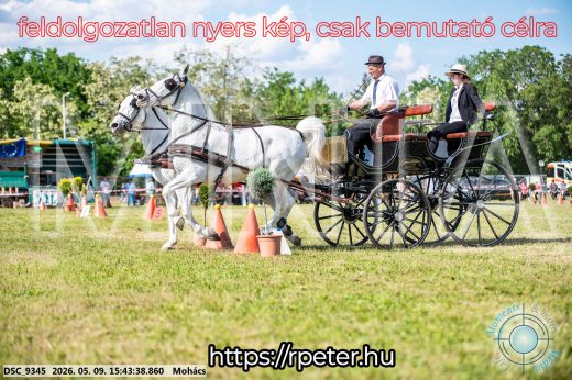 Mintakép 20260509-1036