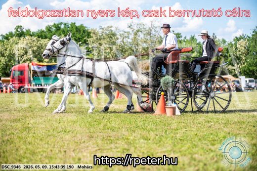 Mintakép 20260509-1037