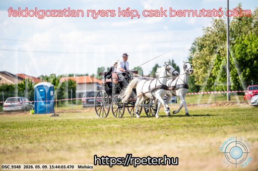 Mintakép 20260509-1039