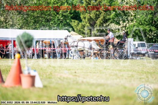 Mintakép 20260509-1042