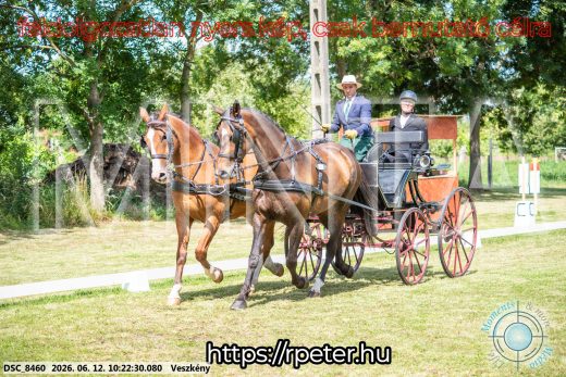 Mintakép 20260612-419