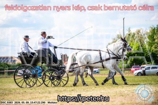 Mintakép 20260509-1064