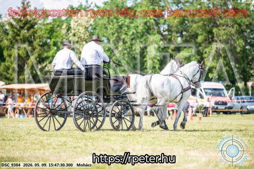 Mintakép 20260509-1065