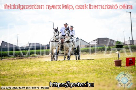 Mintakép 20260509-1071