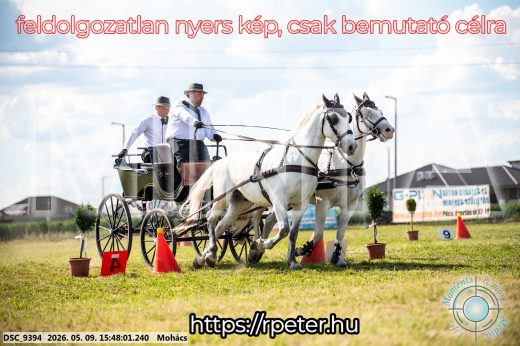 Mintakép 20260509-1073