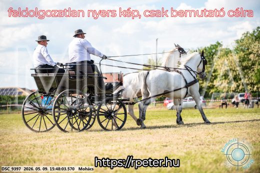 Mintakép 20260509-1075