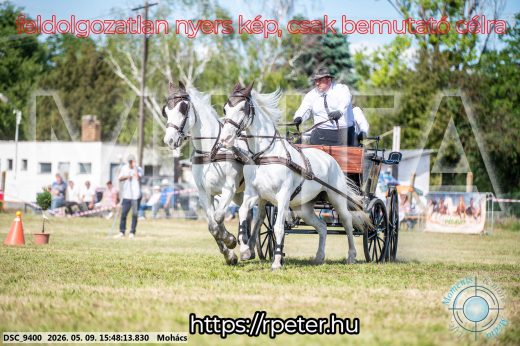Mintakép 20260509-1077