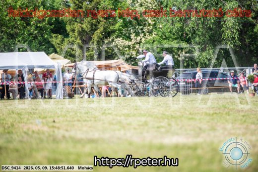 Mintakép 20260509-1085