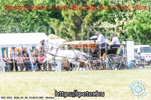 Mintakép 20260509-1086