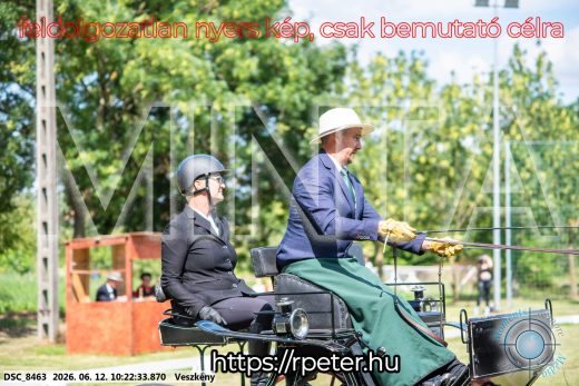 Mintakép 20260612-422