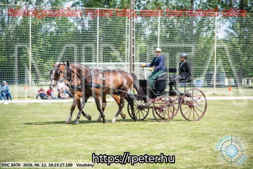 Mintakép 20260612-424