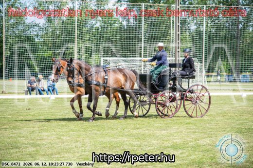 Mintakép 20260612-425