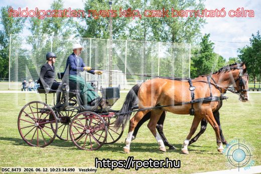 Mintakép 20260612-426