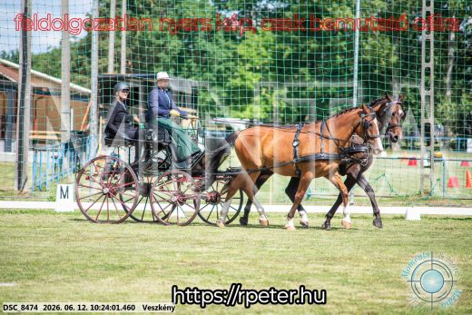 Mintakép 20260612-427