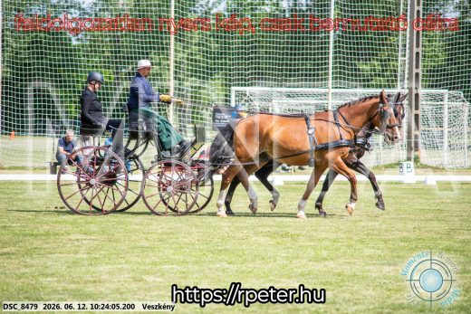 Mintakép 20260612-428
