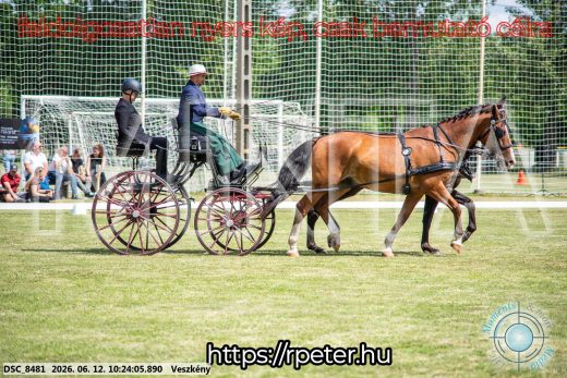 Mintakép 20260612-430