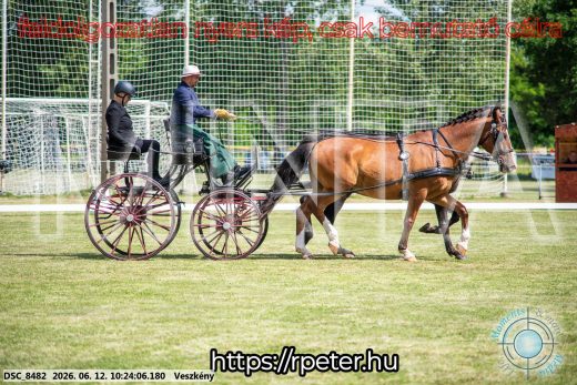 Mintakép 20260612-431