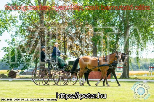 Mintakép 20260612-432