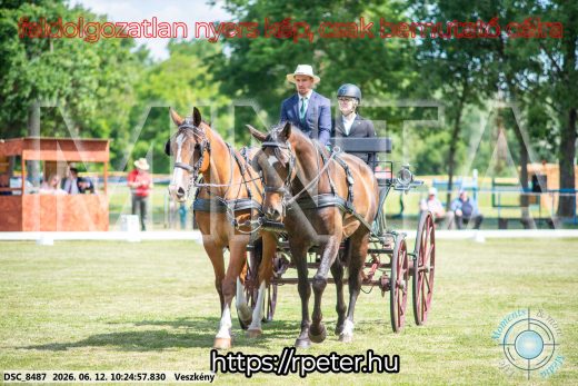 Mintakép 20260612-433