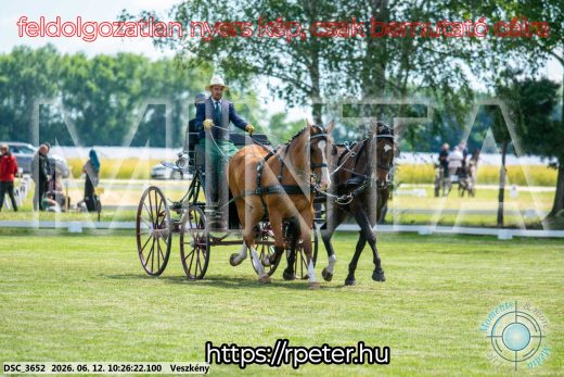 Mintakép 20260612-435