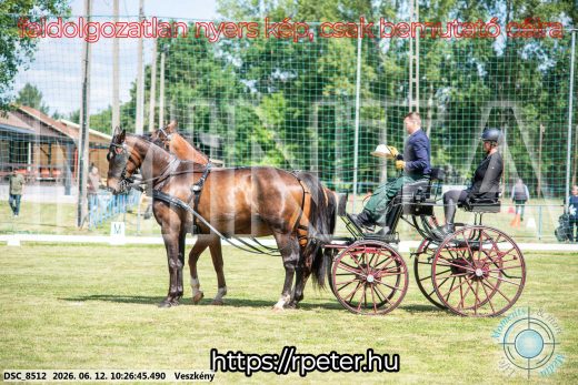 Mintakép 20260612-438