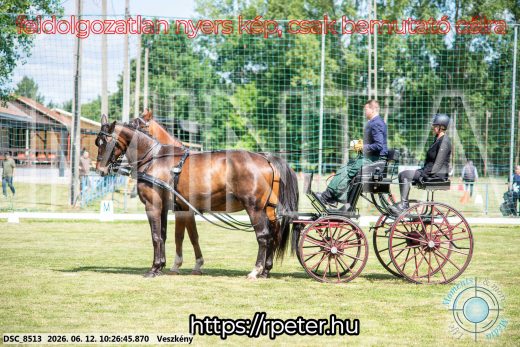 Mintakép 20260612-439