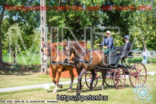 Mintakép 20260612-440