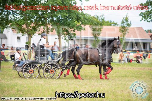 Mintakép 20260613-805