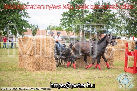 Mintakép 20260613-808
