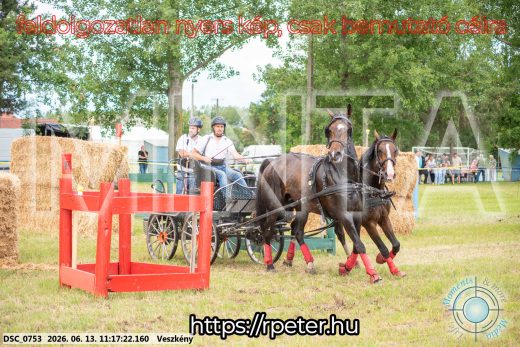 Mintakép 20260613-809