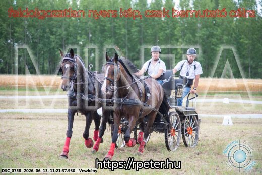 Mintakép 20260613-814