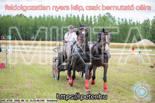 Mintakép 20260613-815