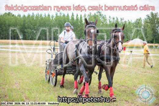 Mintakép 20260613-816