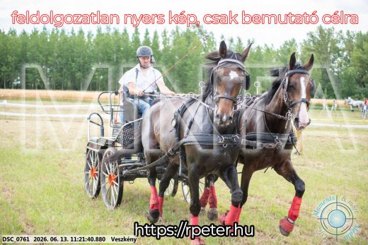 Mintakép 20260613-817