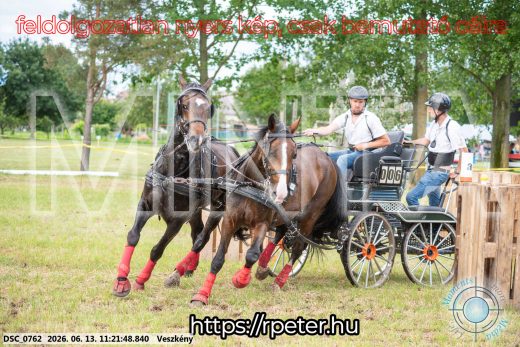 Mintakép 20260613-818
