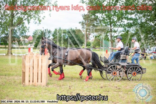 Mintakép 20260613-821