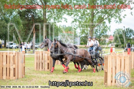 Mintakép 20260613-823