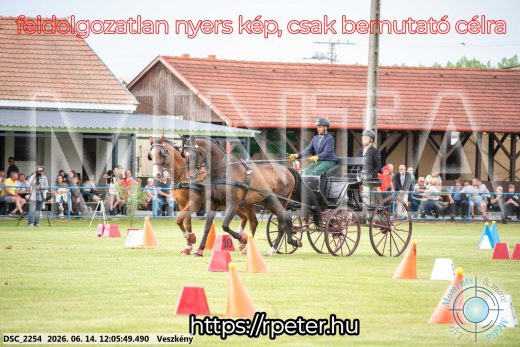 Mintakép 20260614-265