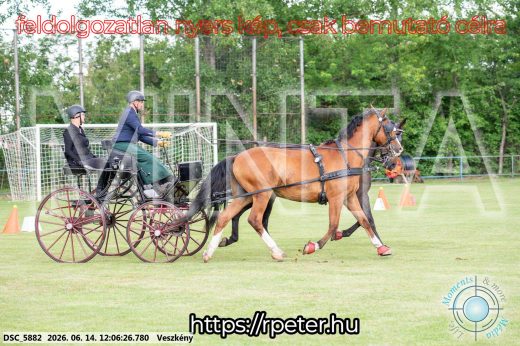Mintakép 20260614-268