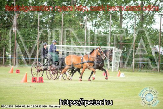 Mintakép 20260614-269