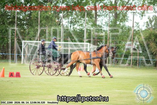 Mintakép 20260614-270