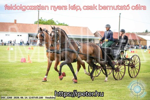 Mintakép 20260614-273
