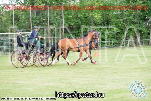 Mintakép 20260614-276
