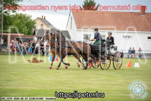 Mintakép 20260614-278