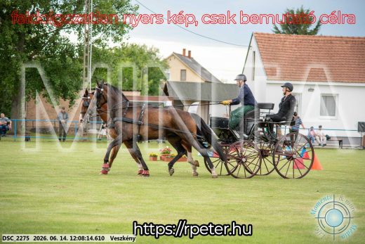 Mintakép 20260614-279
