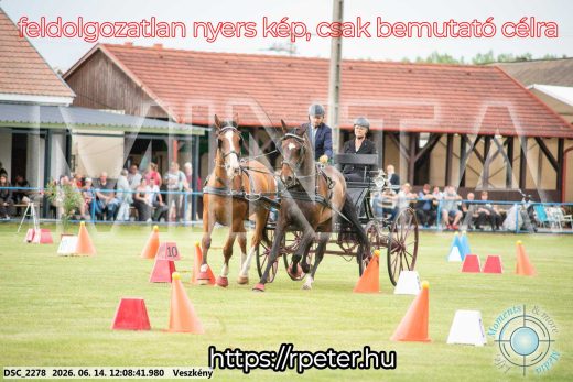 Mintakép 20260614-282